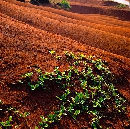 《十三号星期五》将于今年12月31日起在Steam停售