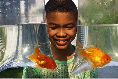 光环小说新作《The Third Life》揭秘背叛者的故事